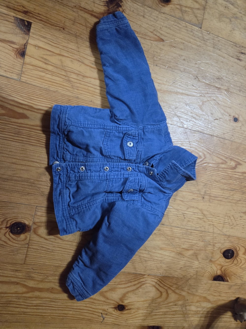 The Children's Place Blue Corduroy Button Jacket for Kids